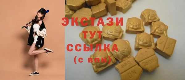 гидра Армянск