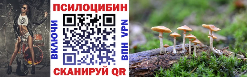 Псилоцибиновые грибы Psilocybine cubensis  закладки  Иркутск 